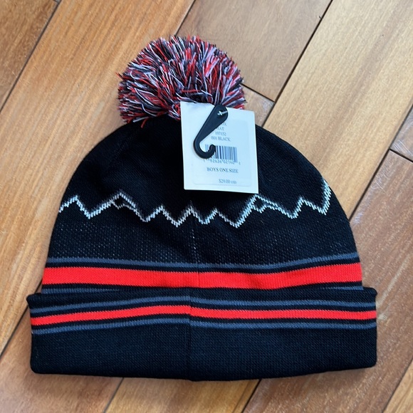 NWT Spyder pom “icebox “ beanie - Picture 2 of 4